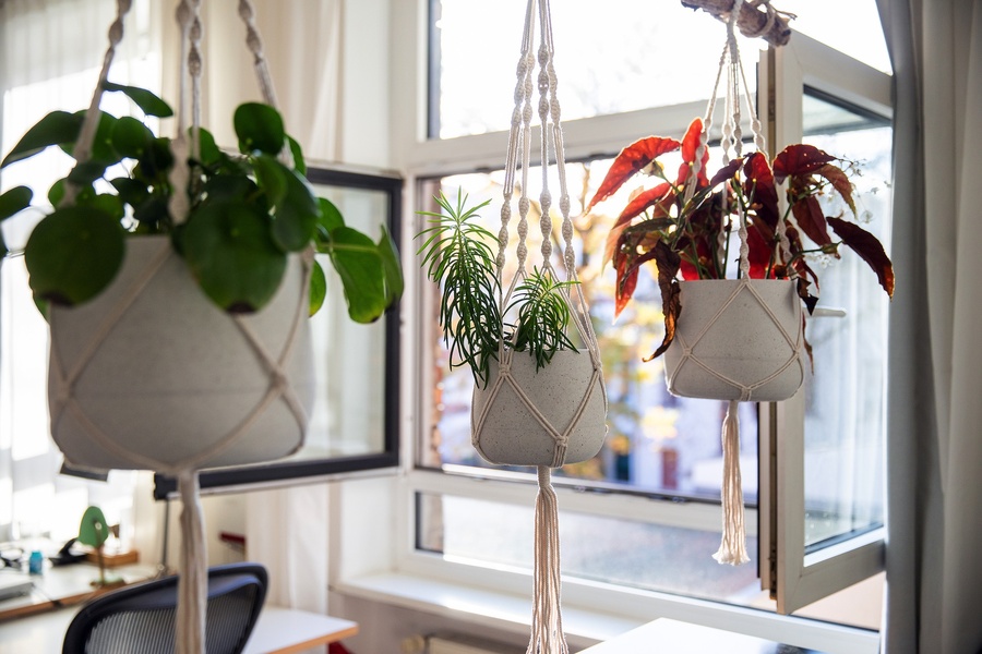Desk in coworking space in Moabit