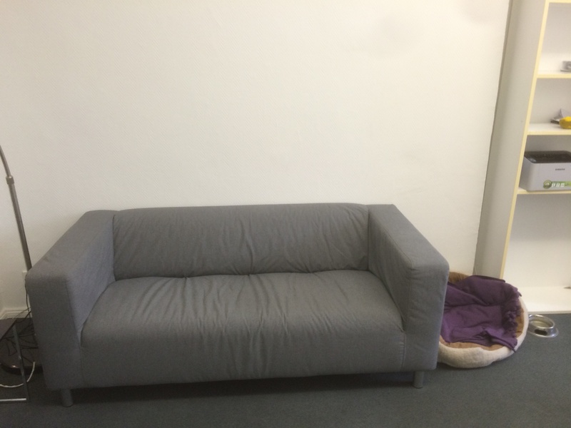 Room in shared office for 4-6 people near Senefelder Platz (Prenzlberg)