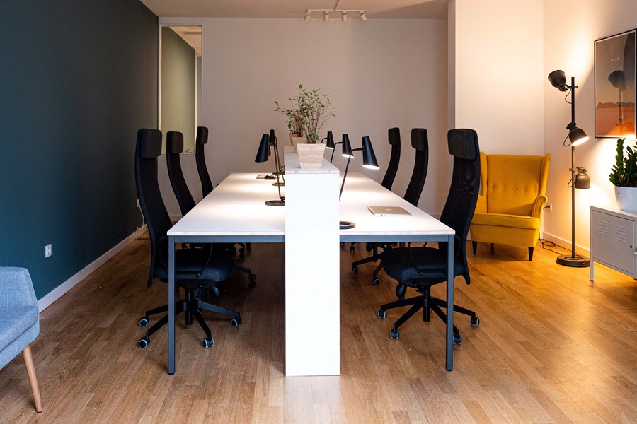 Plug&play office with private terrace in Kastanienallee (12 desks)
