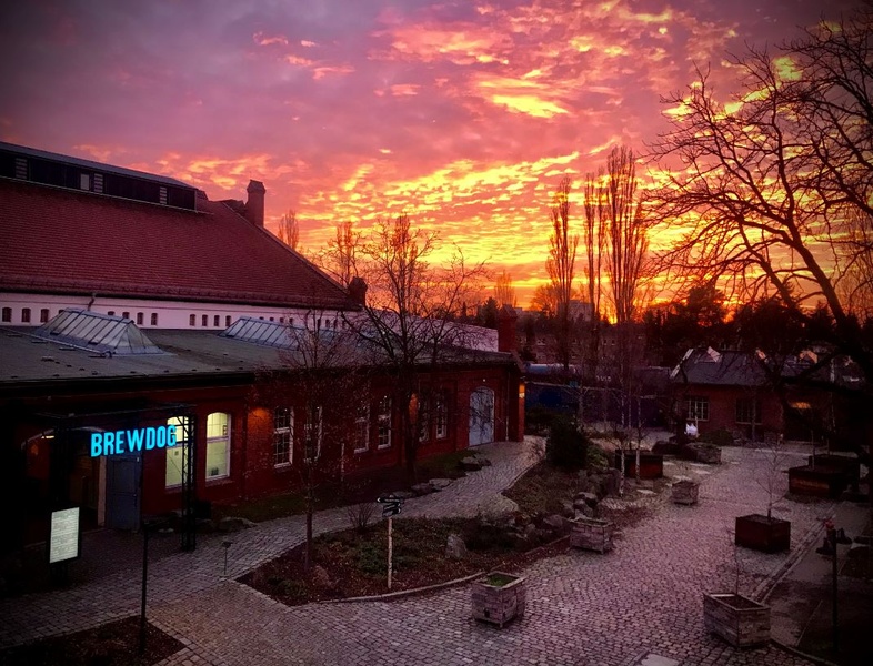 AUSSERGEWÖHNLICHE BÜRORÄUME IM MARIENPARK I GANZE FLÄCHE I FLEX OFFICE I SHARED OFFICE